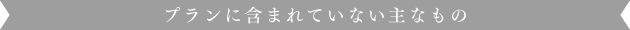 プランに含まれない主なもの