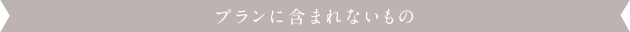 プランに含まれないもの