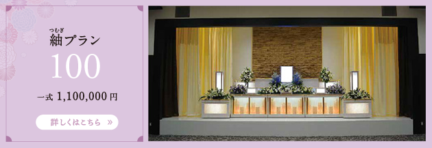 紬プラン 100