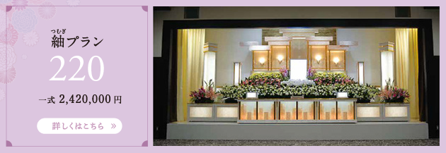紬プラン 220