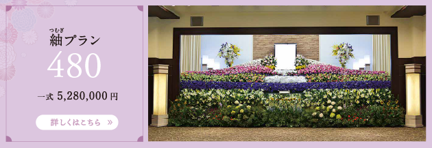 紬プラン 480